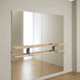 Ballet mirror Amadeus